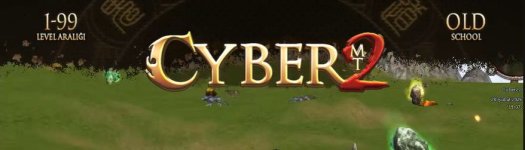 cyber2.jpg