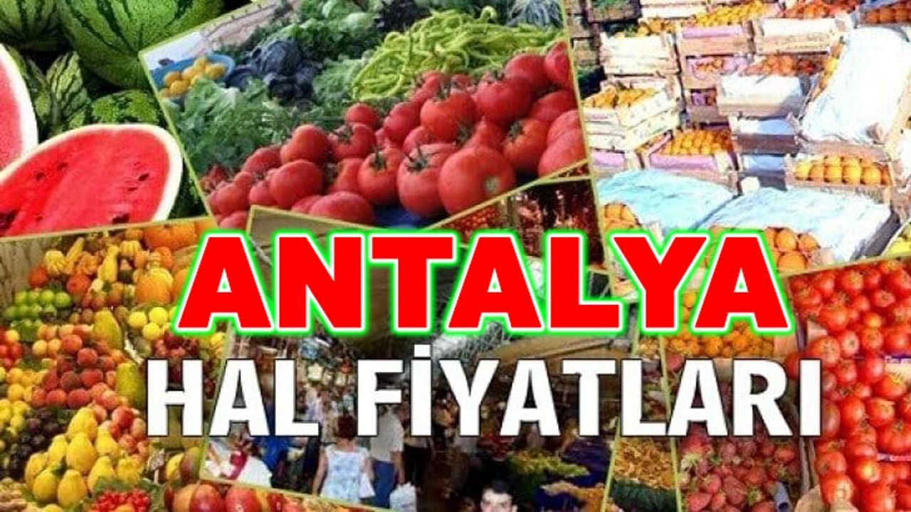 antalya-guncel-hal-fiyatlari-bugub.jpg