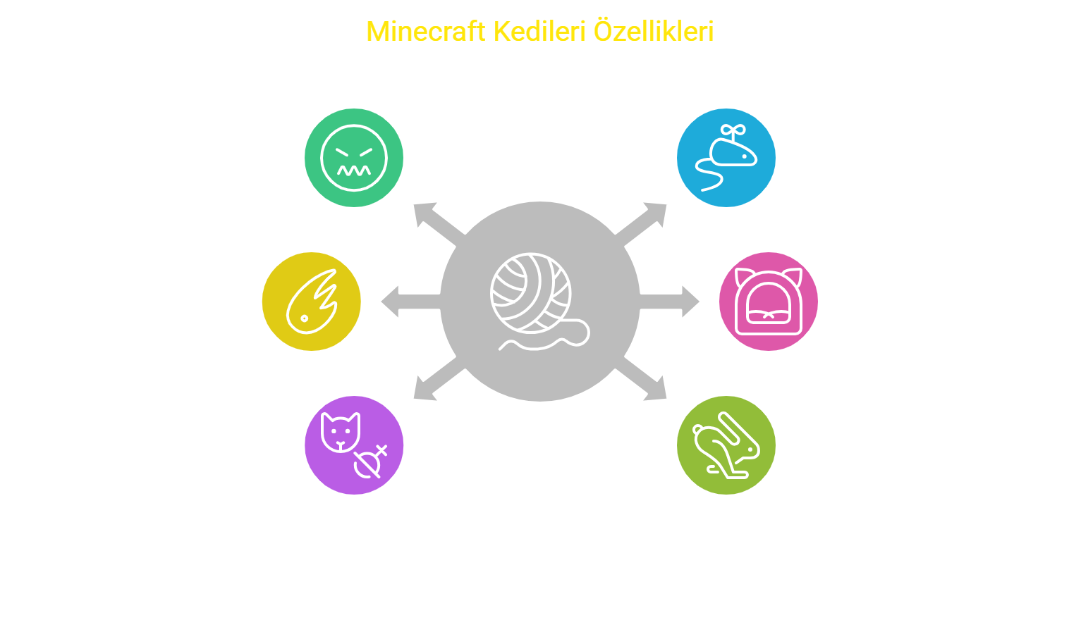Kedilerin Özellikleri ve Davranışları.png