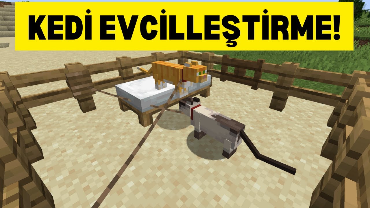 minecraft-kedi-evcillestirme.jpg