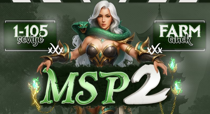 msp2.jpg